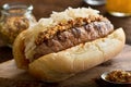 Grilled Sausage with Sauerkraut on a Bun Royalty Free Stock Photo