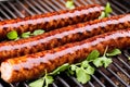 Close-up. Grilled food, barbecue, barbecue Royalty Free Stock Photo