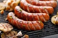 Grilled sausages with the addition of herbs and vegetables on the grill plate, outdoor, close-up Royalty Free Stock Photo