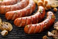 Grilled sausages with the addition of herbs and vegetables on the grill plate, outdoor, close-up Royalty Free Stock Photo