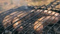 Grilled sausages on bbq. Variety `Original Nuremberg Rostbratwurst`.