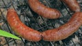 Grilled sausages on bbq. Variety `Original Nuremberg Rostbratwurst`.