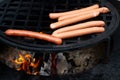 Grilled sausages on grill with smoke and flame on dark background Royalty Free Stock Photo