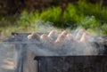 Grilled sausages on grill with smoke Royalty Free Stock Photo