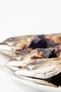A grilled scad fish isolated on white background Royalty Free Stock Photo