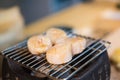 Grilled scallop served in shell over grate and hot charcoal stove Royalty Free Stock Photo