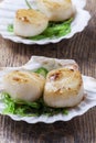 Grilled scallops Royalty Free Stock Photo