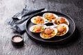 Grilled scallops shell with peach salsa Royalty Free Stock Photo