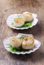 Grilled scallops Royalty Free Stock Photo