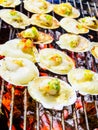 Grilled scallops topped with butter, garlic and parsley.