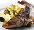 Grilled Sea Bass Royalty Free Stock Photo