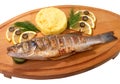 Grilled sea bass fish Royalty Free Stock Photo