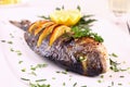 Grilled sea bream fish, lemon, arugula on white plate Royalty Free Stock Photo