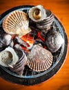 Grilled Sea Shells, Ehime, Hiroshima, Japan