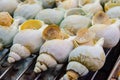 Grilled Sea snails at Taiwan Royalty Free Stock Photo