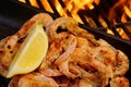 Grilled Seafood on open BBQ fire, XXXL Royalty Free Stock Photo