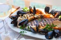 Grilled seafood platter