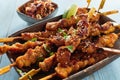 Grilled seasoned satay meat skewers