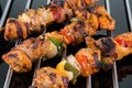 Grilled shaslik skewers on a cooking grate with reflections on a Royalty Free Stock Photo