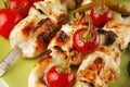 Grilled shish kebab