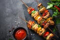 Grilled shish kebab with vegetables on black. Royalty Free Stock Photo