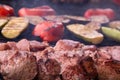 Grilled shish kebab skewers of meat and vegetables Royalty Free Stock Photo