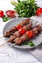 Grilled shish kebab skewers with tomatoes Royalty Free Stock Photo