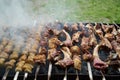 Grilled shish kebab with vegetables. BBQ grill with lamb meat and potatoes Royalty Free Stock Photo