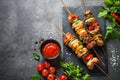 Grilled shish kebab with vegetables on black. Royalty Free Stock Photo