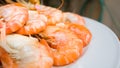 Grilled Shrimp close up on white dish