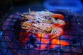 Grilled shrimp Giant freshwater River prawn grilling with charcoal at home, Natural Light in the evening. Bangkok, Thailand Royalty Free Stock Photo