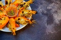 Grilled shrimp Giant freshwater River prawn grilling with charcoal at home, Natural Light in the evening. Bangkok, Thailand Royalty Free Stock Photo