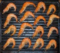 Grilled Shrimp Royalty Free Stock Photo