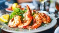 Grilled Shrimp on a Plate in a Restaurant Dish