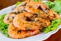 Grilled Shrimp in a plate . Royalty Free Stock Photo