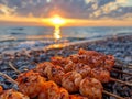Grilled Shrimp Skewers on Pebbled Beach at Sunset with Ocean View and Warm Sunlight