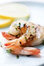 Grilled shrimps Royalty Free Stock Photo