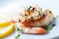 Grilled shrimps Royalty Free Stock Photo