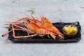 Grilled shrimps Giant Tiger Pawn with salt served with sliced lemon in black stone plate on washi Japanese paper