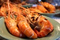 Grilled shrimps on the green dish Royalty Free Stock Photo