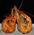 Grilled shrimps on the green dish Royalty Free Stock Photo