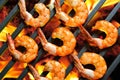 Grilled shrimps,prawns on the flaming grill Royalty Free Stock Photo