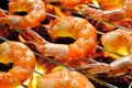 Grilled shrimps,prawns on the flaming grill Royalty Free Stock Photo