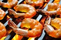 Grilled shrimps,prawns on the flaming grill Royalty Free Stock Photo