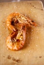 Grilled shrimps prawns with salt flakes Royalty Free Stock Photo