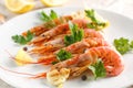 Grilled shrimps with spice, lemon and greenery. Grilled seafood