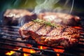 Grilled sirloin with rosemary on a flaming BBQ grill in summer nature Royalty Free Stock Photo