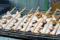 Grilled Skewer chicken and leg of chicken stick thai style barbeque on stove Royalty Free Stock Photo