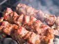 Grilled skewers of meat on the coals, with smoke. street food. Royalty Free Stock Photo