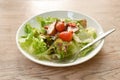 grilled slice pork fresh vegetable salad dressing Thai spicy seafood sauce on plate Royalty Free Stock Photo